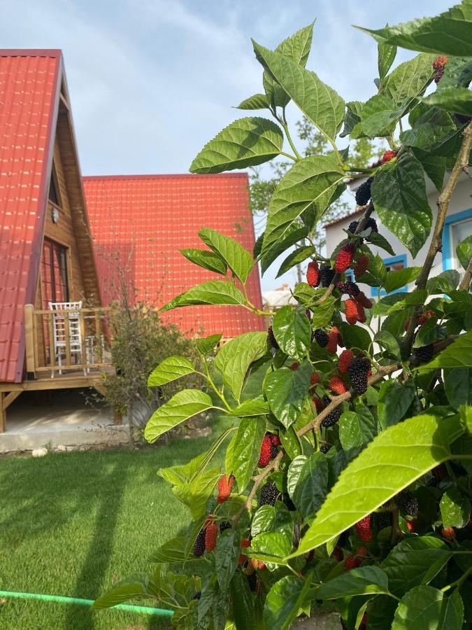 Noel Bungalov & Cafe Demre Exteriör bild